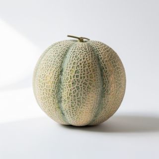 Cantaloupe