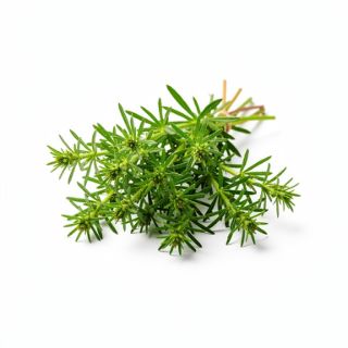 Cleavers