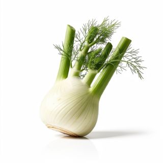 Fennel