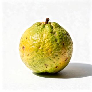 Guava