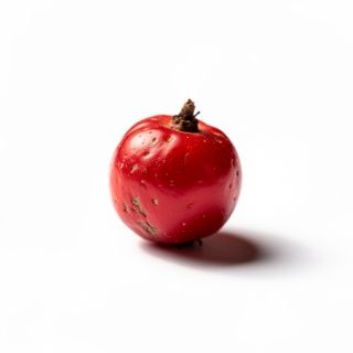 Hawthorn Berry