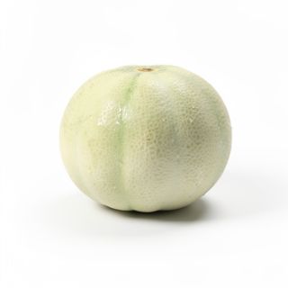 Honeydew Melon
