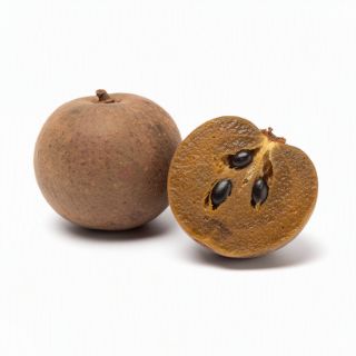Sapodilla