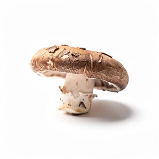Shiitake Mushrooms