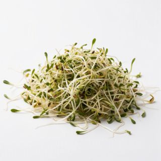 Sprouts